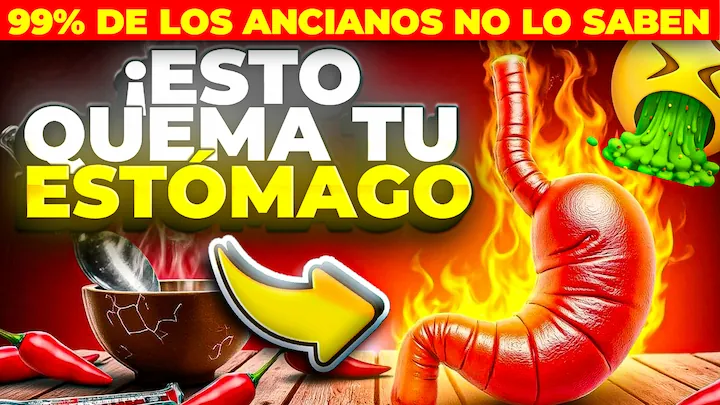 Ejemplo de proyecto de marketing digital 4 de ZackifyLab