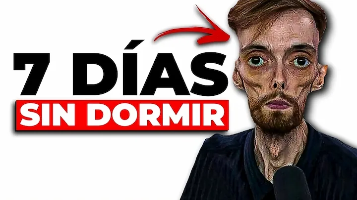 Ejemplo de proyecto de marketing digital 6 de ZackifyLab