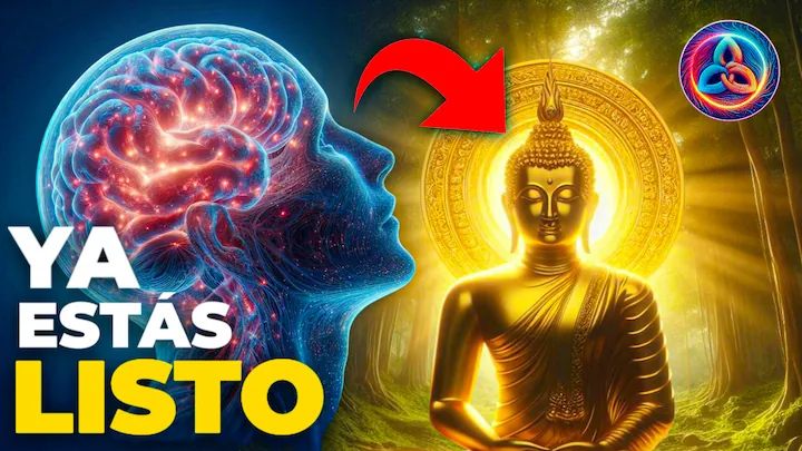 Ejemplo de proyecto de marketing digital 10 de ZackifyLab