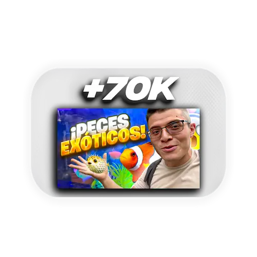 Embudo de conversión con una tasa del 3.8% de visitantes a clientes.